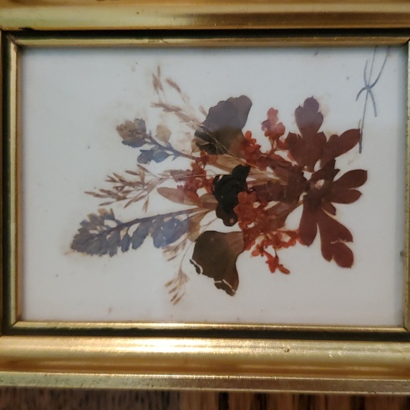 Vintage Floralp Tyrol Austria Pressed Flowers Miniature Framed Pictures Set of 2 - Picture 3 of 10
